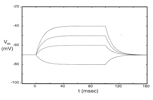 ../figures/membraneresponse.gif