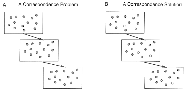 ../figures/motion_correspondence_problem.gif