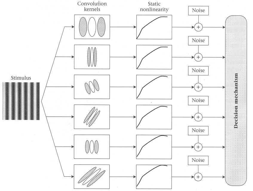 multichannel_model.gif