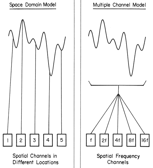 spatial_vs_frequency.gif