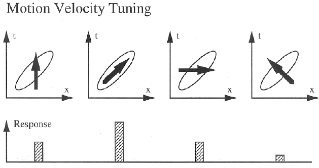 velocity_tuning.gif