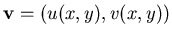 ${\bf v}=(u(x,y),v(x,y))$